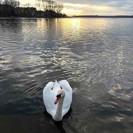 Nad Jeziorem Dlugim Lesna # 32 Апартаменты Ольштын